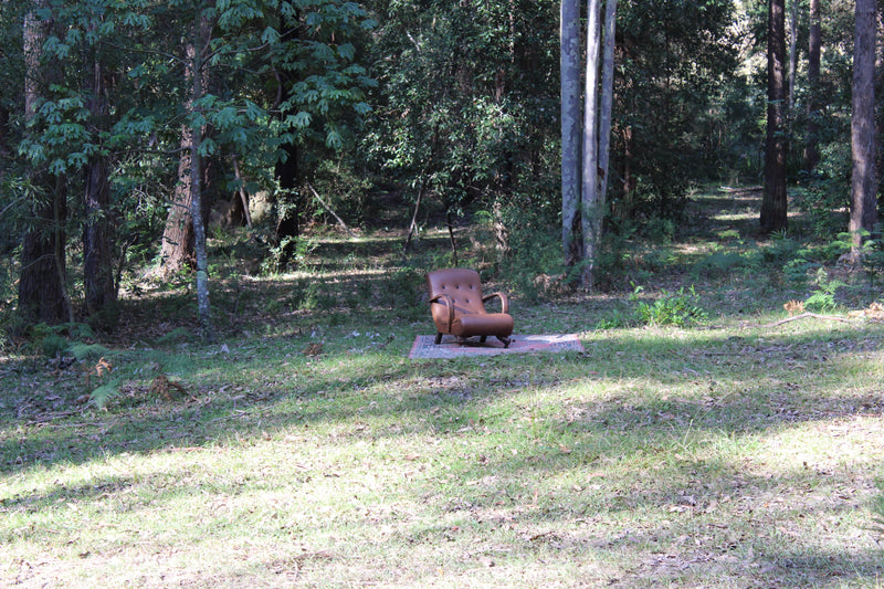 Winter Wilderness Collection '17