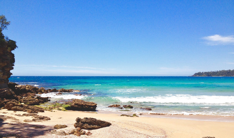 AUTUMN FEELS - PART 3