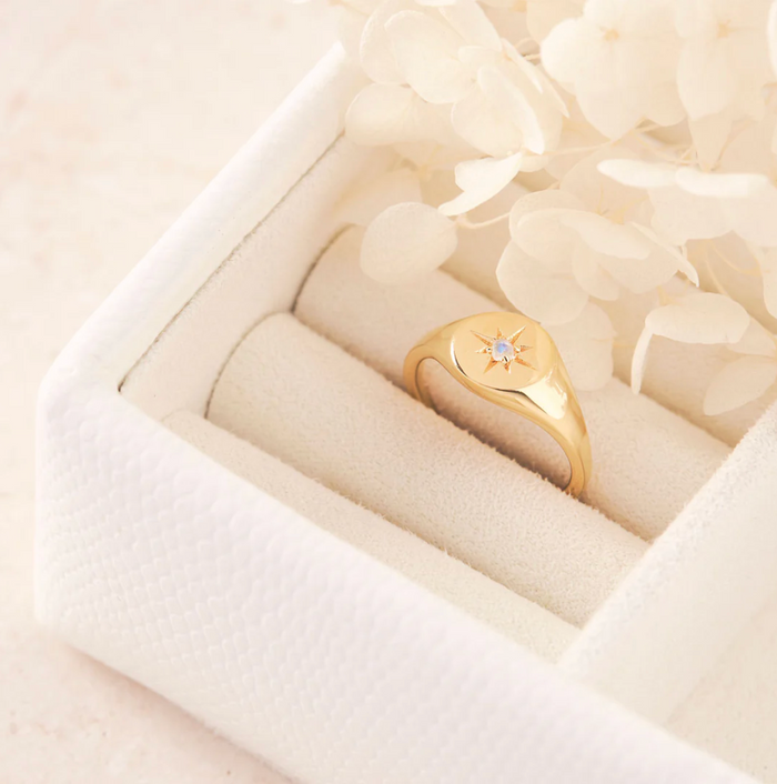 Gold Enchanted Light Signet Ring